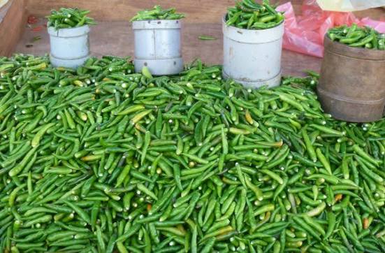 Le petit piment vert est un marqueur essentiel de nombreux rougails.